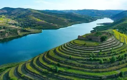 重點(diǎn)行業(yè)VOCs治理“一企一策”！寧夏空氣質(zhì)量持續(xù)改善行動(dòng)實(shí)施方案公開(kāi)征求意見(jiàn)