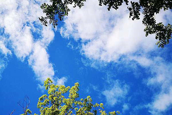 逐“綠”而行，迎“藍(lán)”而上—常熟聚焦VOCs治理全力攻堅(jiān)臭氧難題