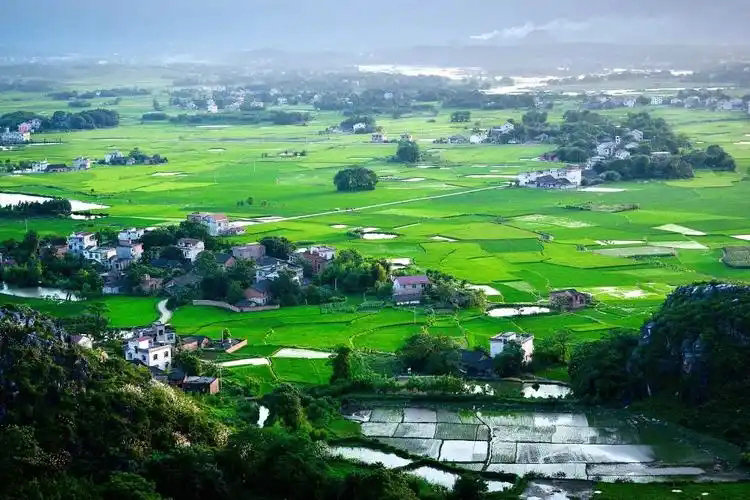 政府工作報(bào)告出爐，2025年生態(tài)環(huán)保工作這么干！