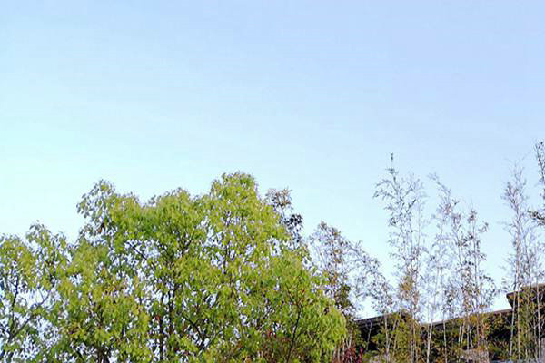 廢氣治理＋綠色運輸！安徽省第三生態環境保護督察組調研阜陽空氣質量提升攻堅 