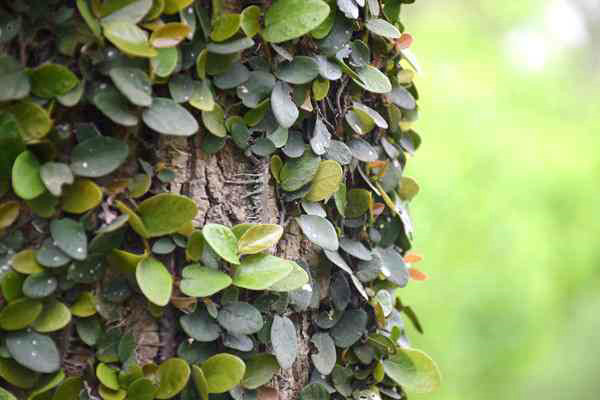 全國已建成“兩級、三類、一清單”的生態環境分區管控體系 