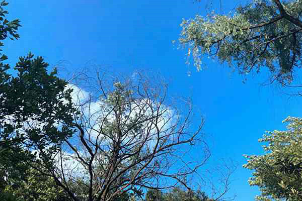 濟南高新區(qū)分局“四維聚力” 扎實推進夏秋季大氣污染防治攻堅