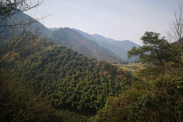 甘肅“五棋聯(lián)動”筑牢西部生態(tài)屏障，PM2.5平均濃度連續(xù)兩年同比下降