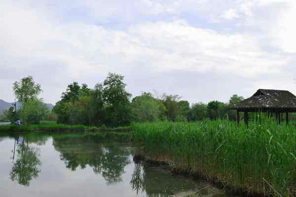 滁州市明光市全方位提升生態(tài)環(huán)境治理水平